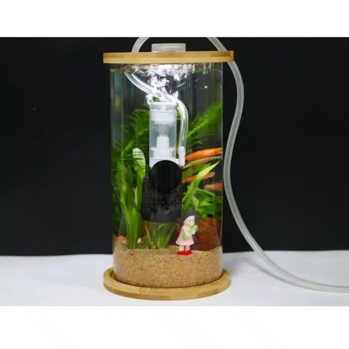 Filtre petit aquarium