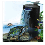 Aquarium tortue filtre